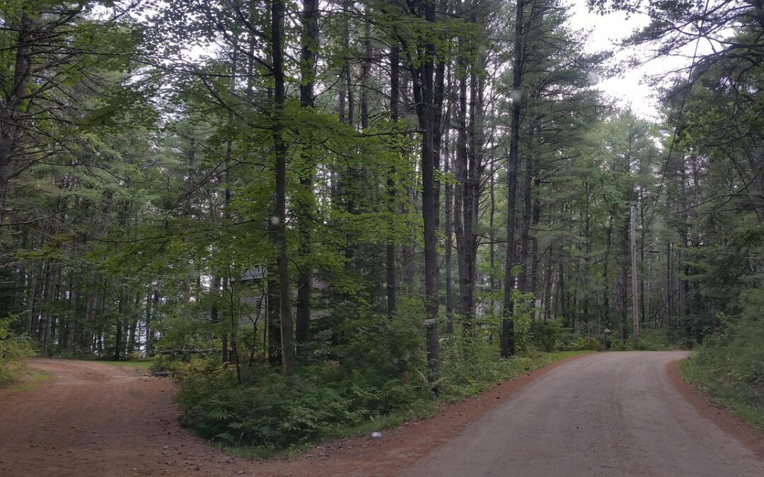 Psalm 1: Twee wegen, twee uitkomsten